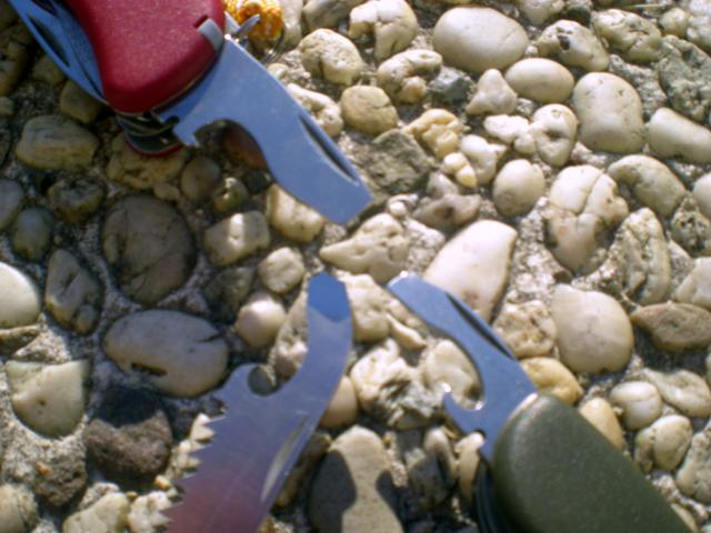 Petit comparatif de trois modèle de Victorinox Dscn6485-3699028